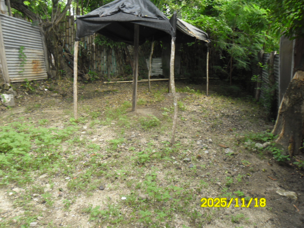 VENTA DE CASA EN VENADILLO TOLIMA