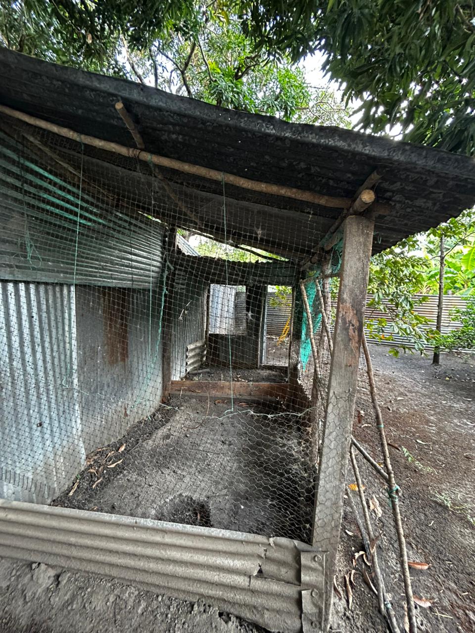 VENTA DE CASA EN VENADILLO